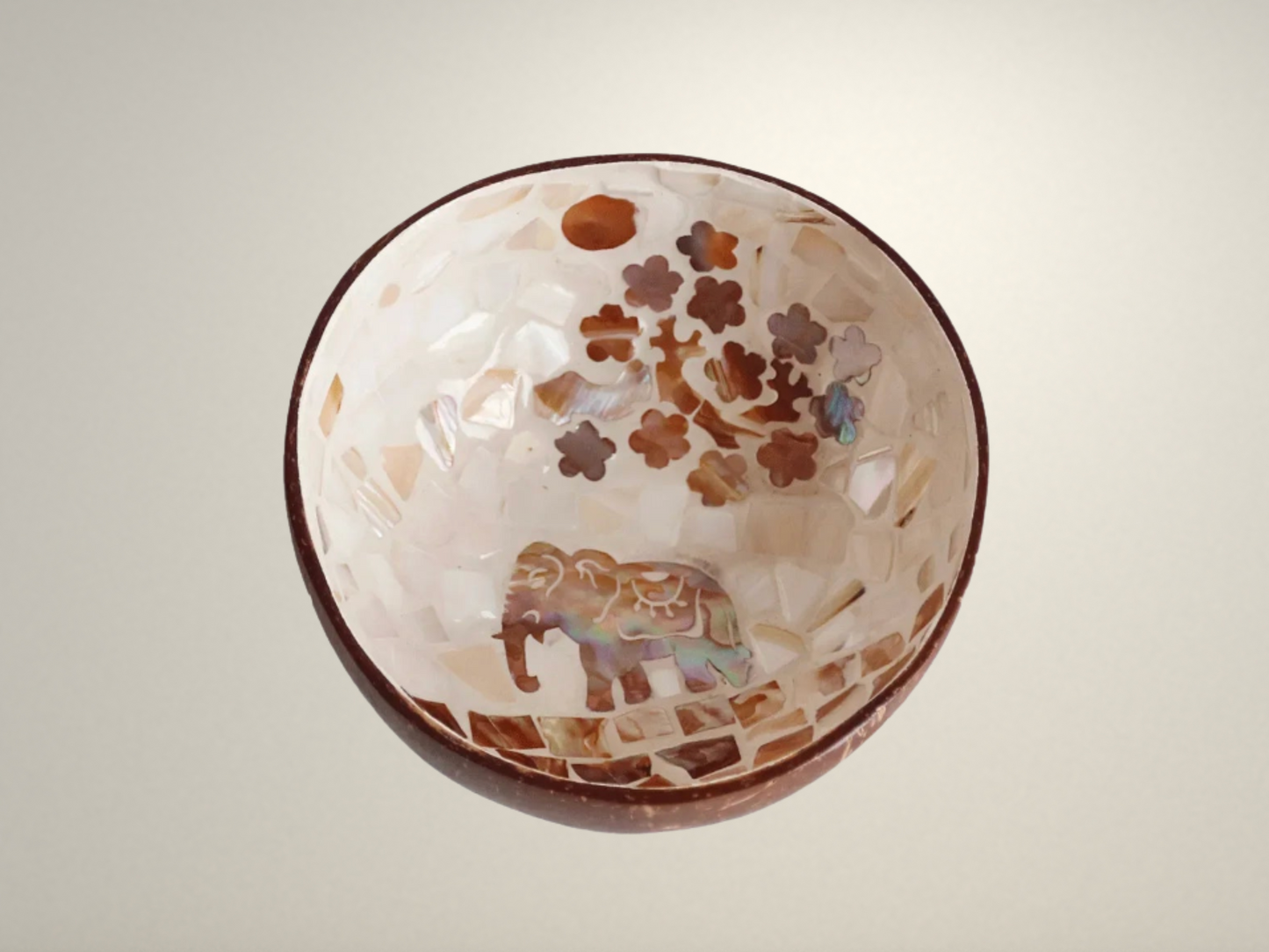 OllaLuxe Artisan Painted Coconut Shell Bowl – Handcrafted Decorative Storage & Display Bowl