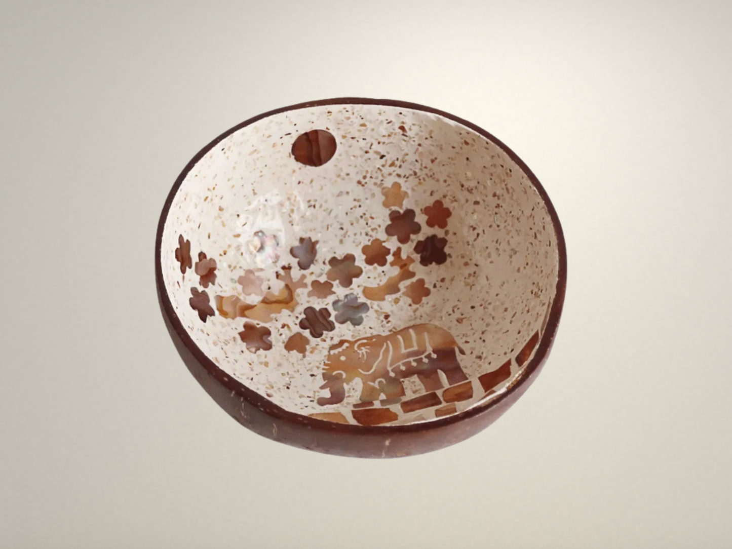 OllaLuxe Artisan Painted Coconut Shell Bowl – Handcrafted Decorative Storage & Display Bowl