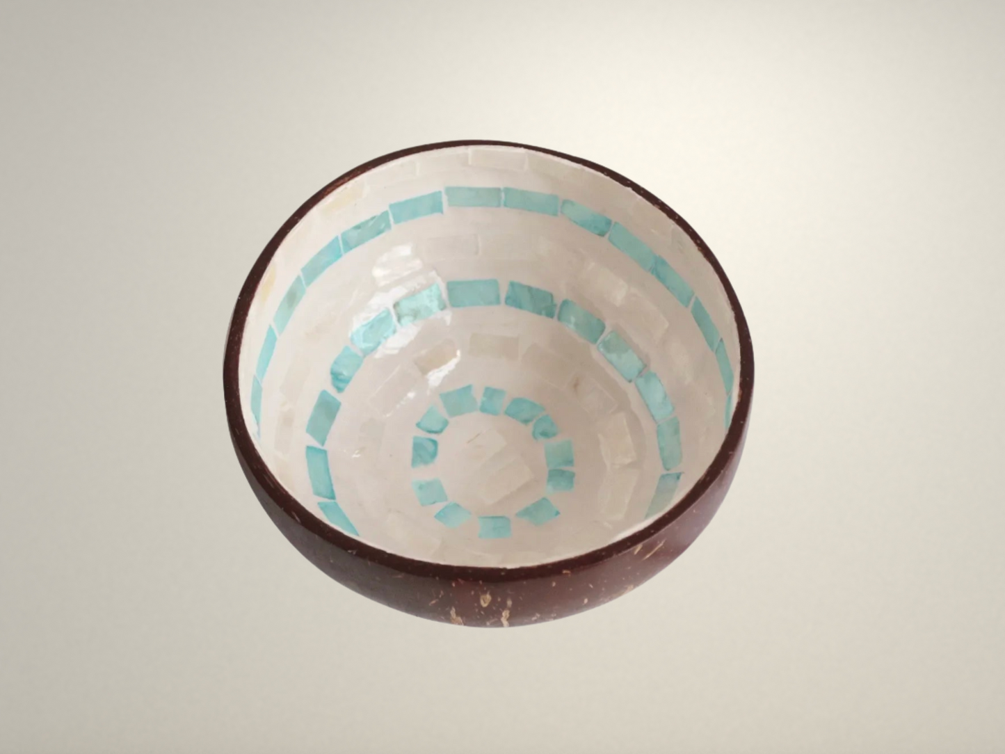 OllaLuxe Artisan Painted Coconut Shell Bowl – Handcrafted Decorative Storage & Display Bowl