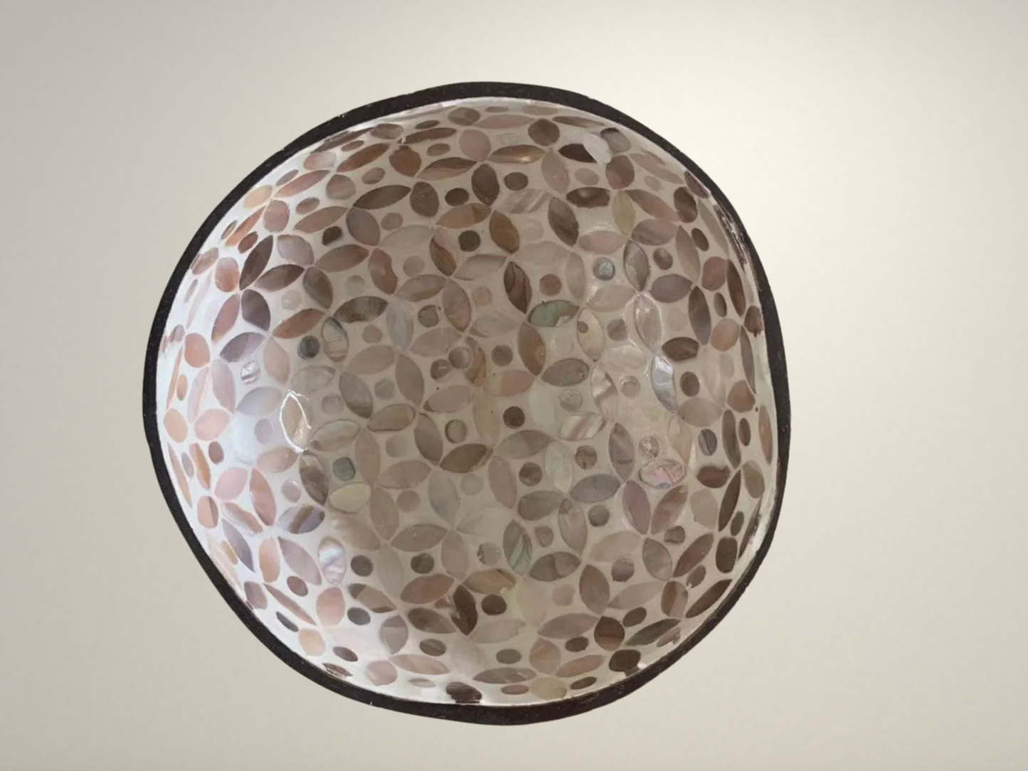 OllaLuxe Artisan Painted Coconut Shell Bowl – Handcrafted Decorative Storage & Display Bowl