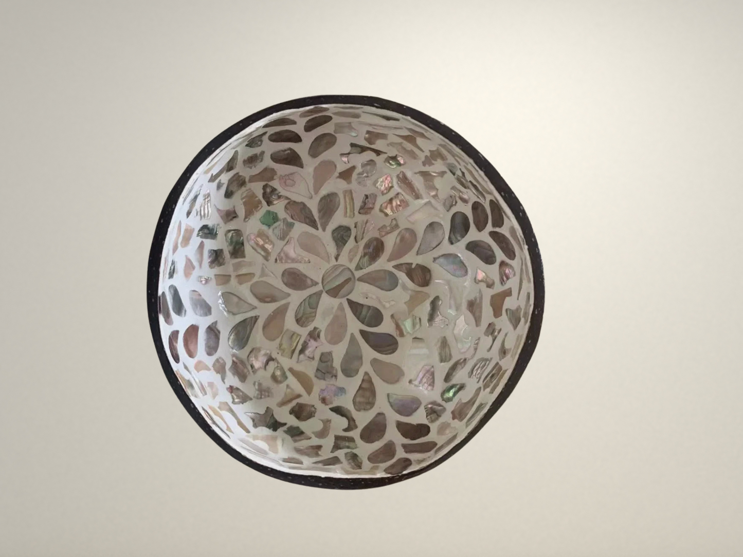 OllaLuxe Artisan Painted Coconut Shell Bowl – Handcrafted Decorative Storage & Display Bowl