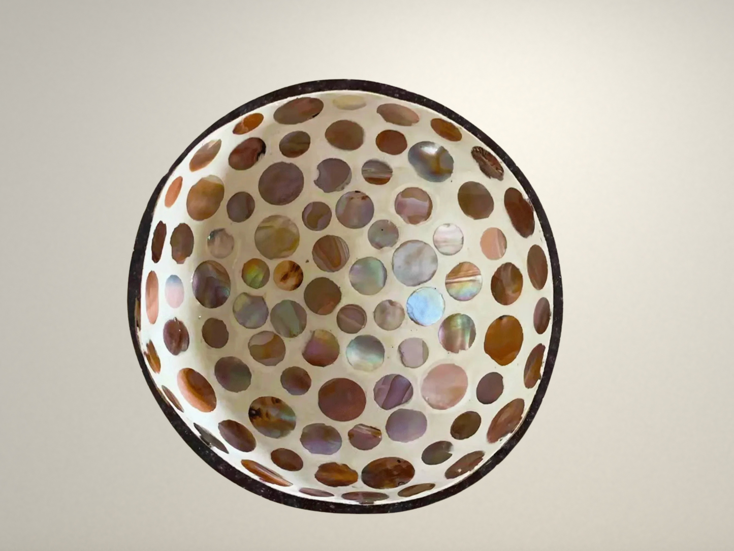 OllaLuxe Artisan Painted Coconut Shell Bowl – Handcrafted Decorative Storage & Display Bowl