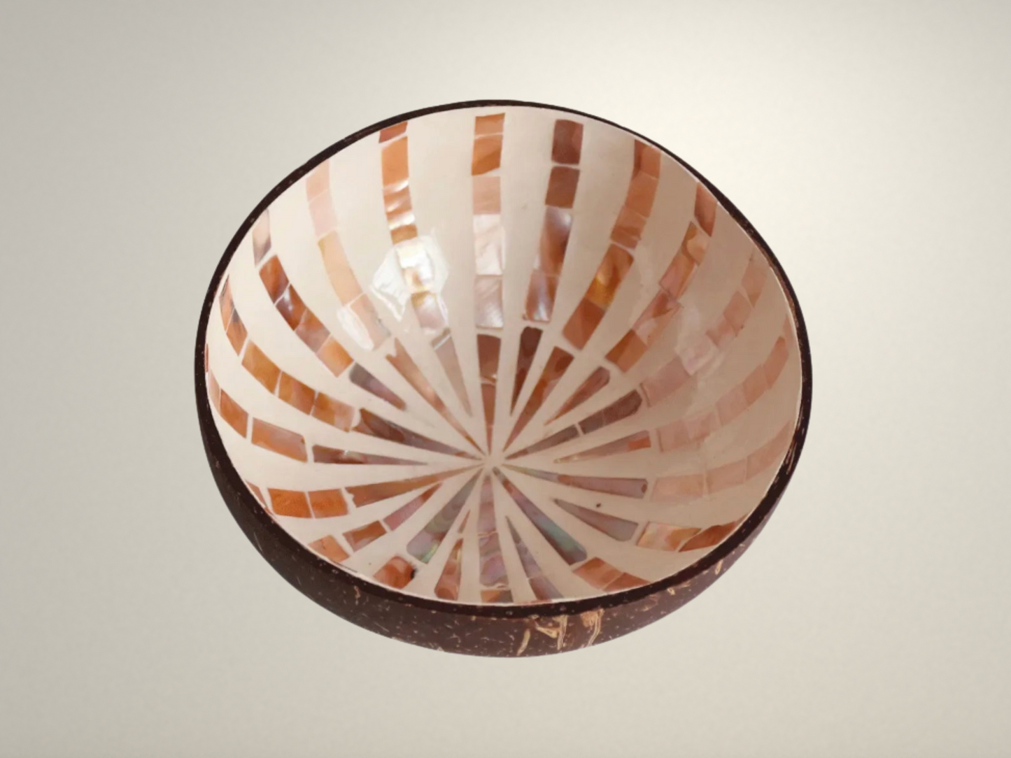 OllaLuxe Artisan Painted Coconut Shell Bowl – Handcrafted Decorative Storage & Display Bowl