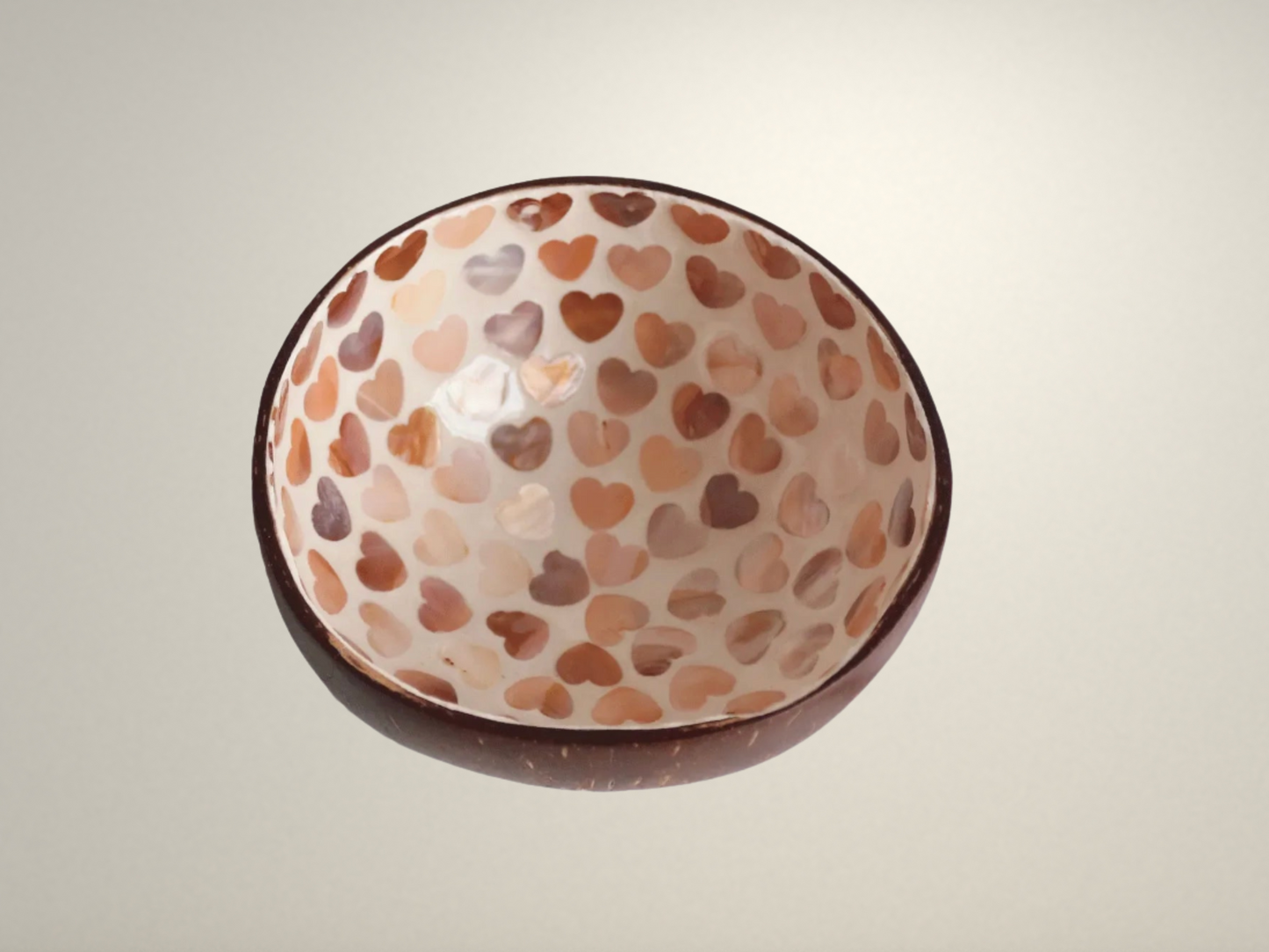 OllaLuxe Artisan Painted Coconut Shell Bowl – Handcrafted Decorative Storage & Display Bowl