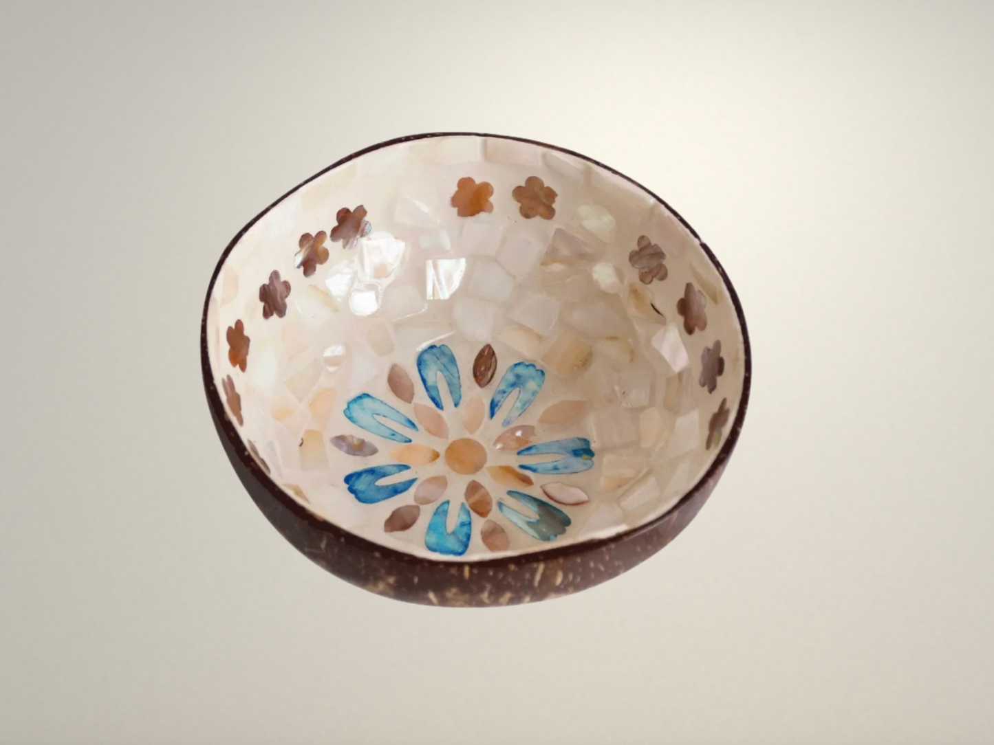 OllaLuxe Artisan Painted Coconut Shell Bowl – Handcrafted Decorative Storage & Display Bowl