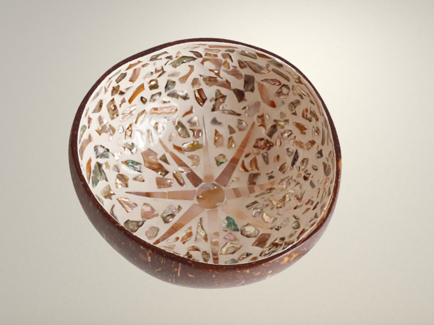 OllaLuxe Artisan Painted Coconut Shell Bowl – Handcrafted Decorative Storage & Display Bowl
