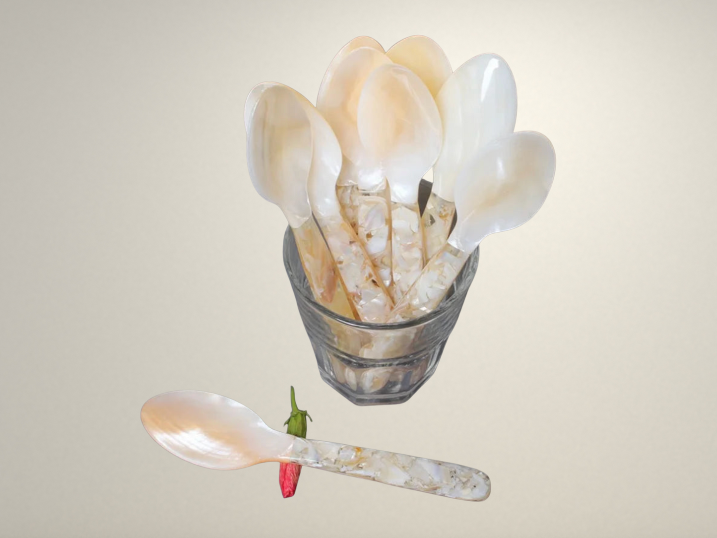 OllaLuxe Natural Shell Dessert & Coffee Spoon – Mother of Pearl Vintage Cutlery