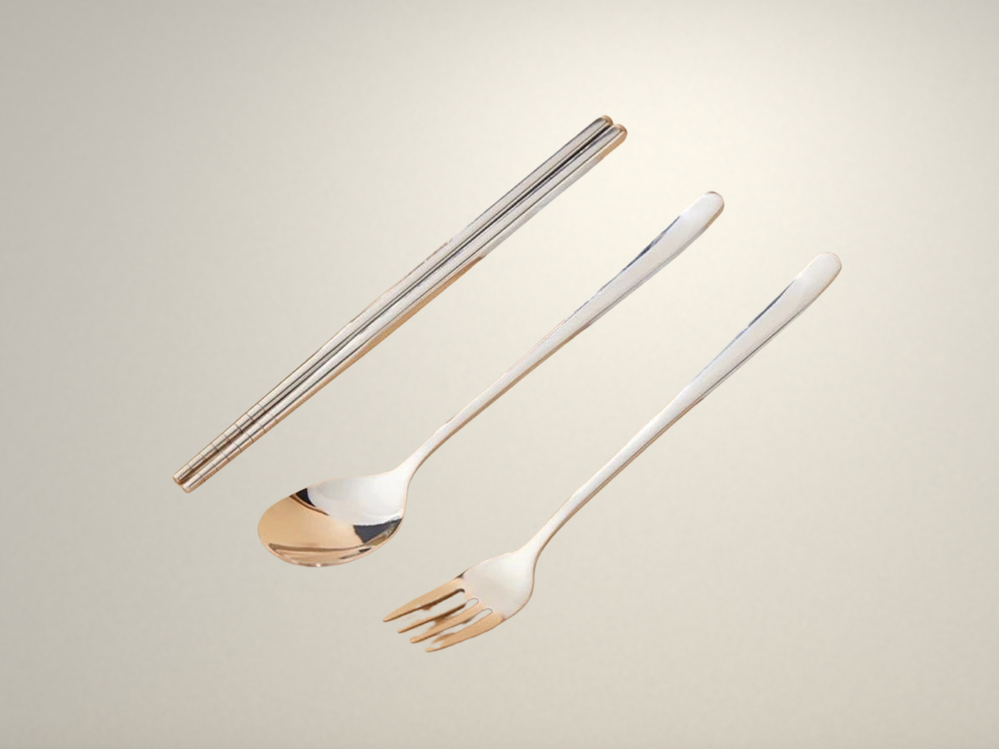 OllaLuxe Portable Stainless Steel Cutlery Set with Travel Case
